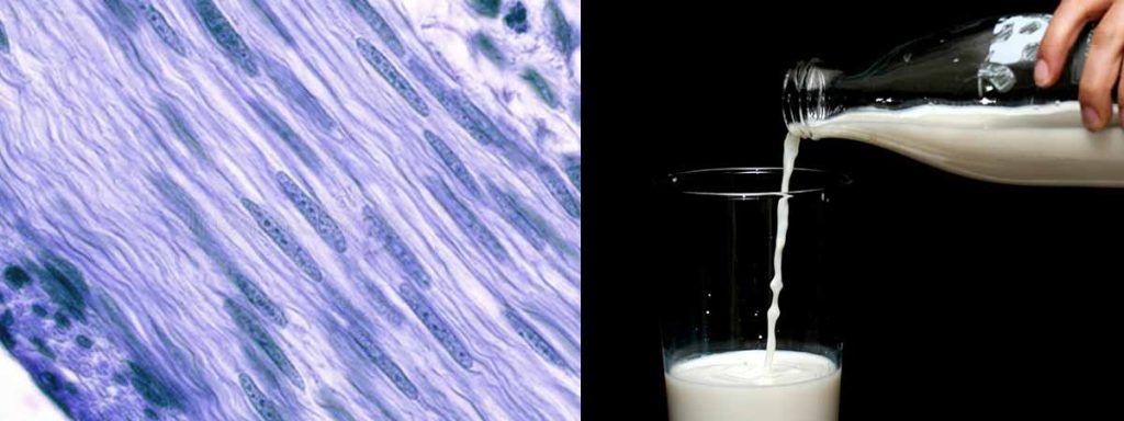 differential-somatic-cell-count