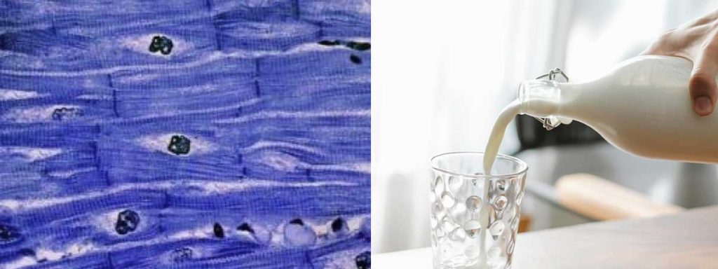 differential-somatic-cell-count-vs-total-somatic-cell-count