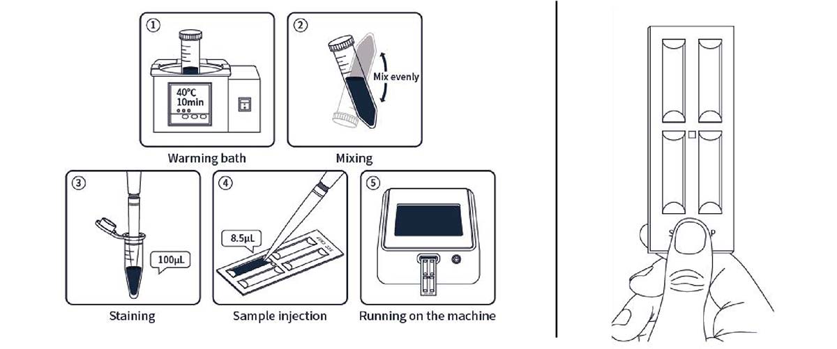 somatic-cell-count-in-milk-method