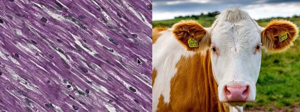 electronic-somatic-cell-count