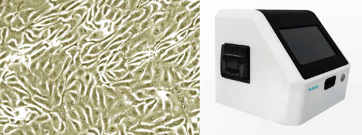 How We Ensure Accuracy Through the Technology Behind Somatic Cell ...