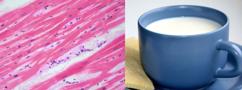 somatic-cell-count-measurement