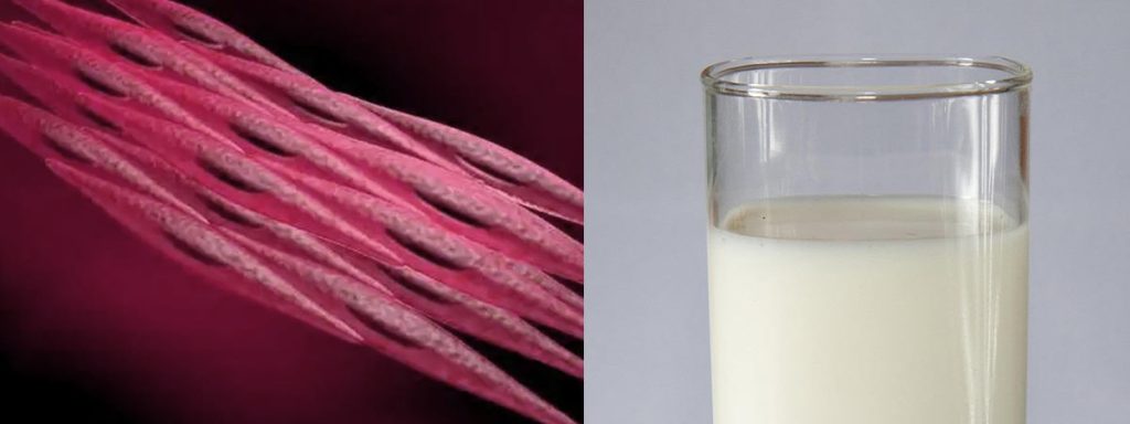 somatic-cell-count-allowed-in-milk