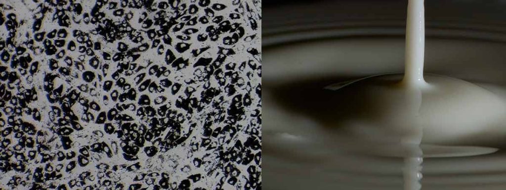 somatic-cell-count-defined