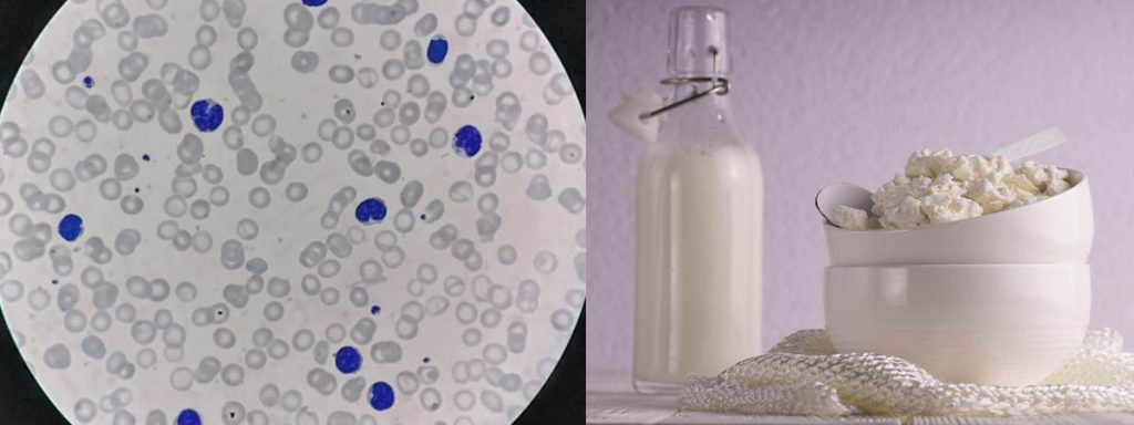 somatic-cell-count-problems