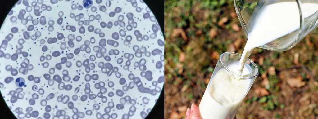 somatic-cell-count-reduction