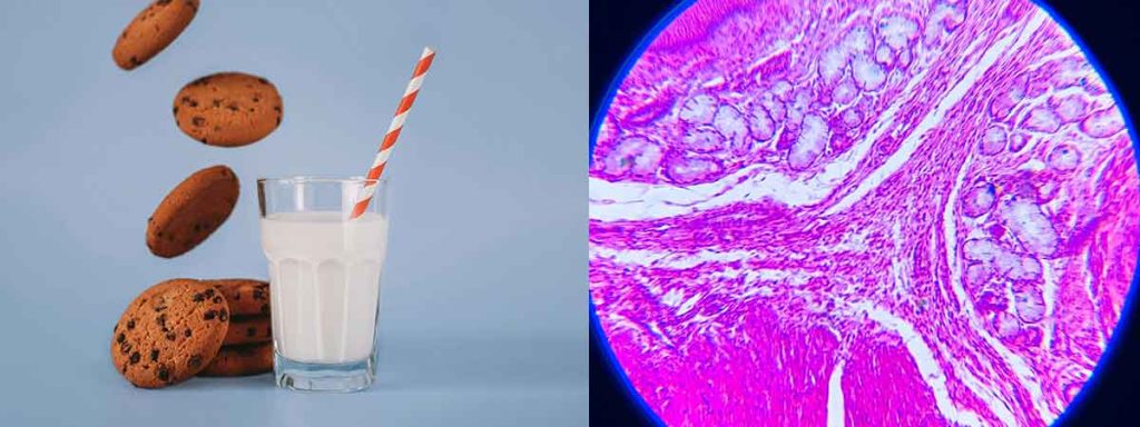 legal-limit-for-somatic-cell-count