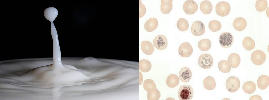 scc-test-for-milk​