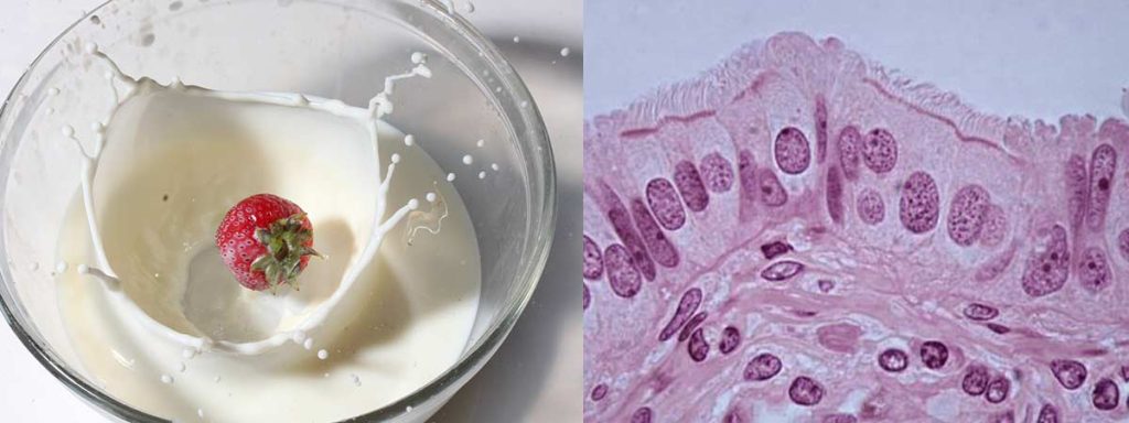 how-to-check-cow-milk-purity