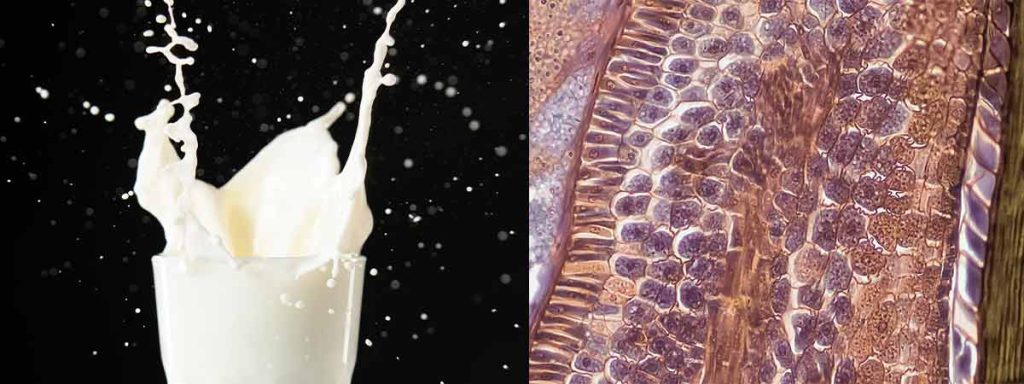 somatic-health-solutions