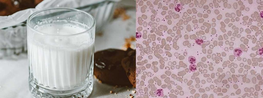 somatic-vs-germ-cells