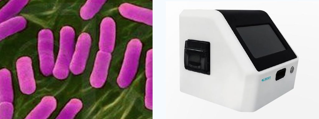 bacterium-staphylococcus-aureus