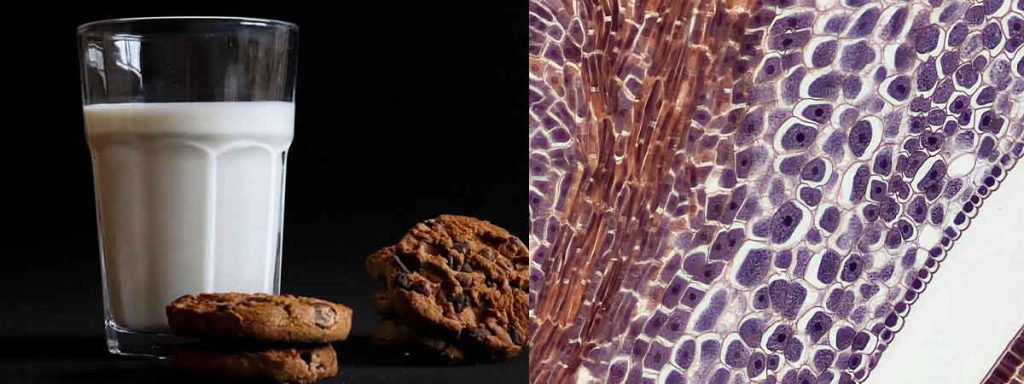 bulk-tank-somatic-cell-count-categories​