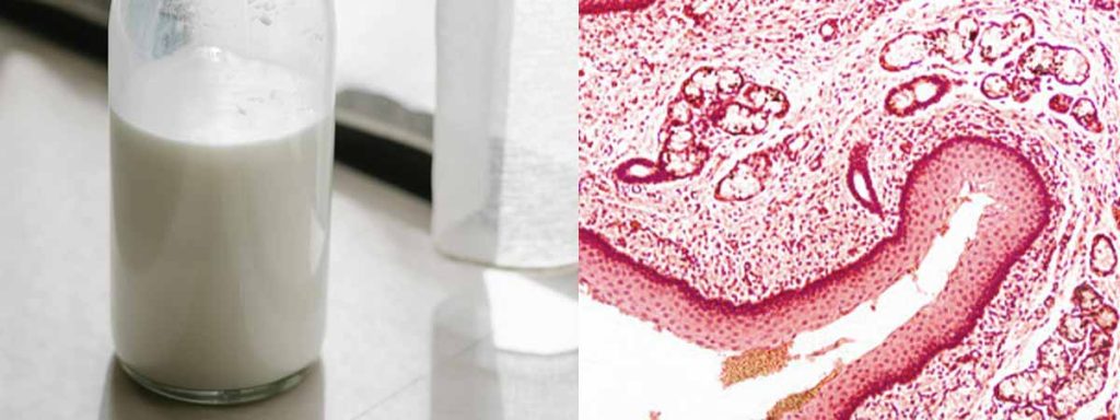 high-scc-in-bulk-tank​