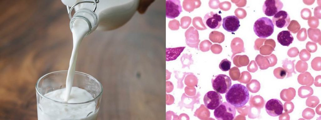 somatic-cells-in-cow-milk