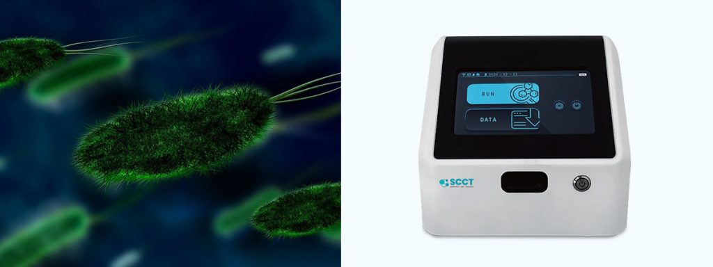 treatment-for-heavy-growth-of-staphylococcus-aureus