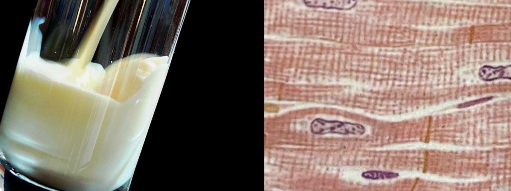 electronic-mastitis-detector