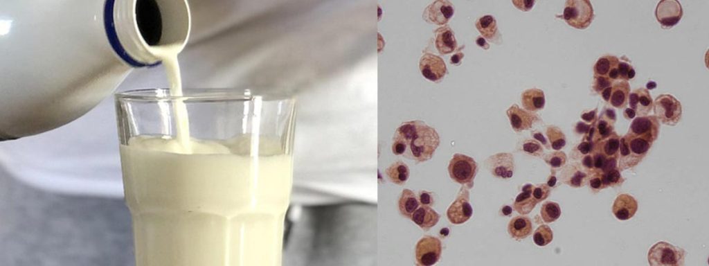 how-many-somatic-cells-in-grade-a-milk