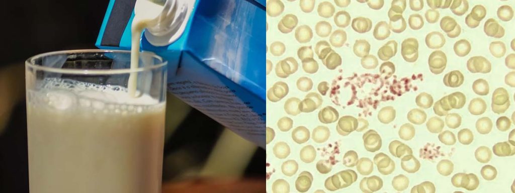 how-many-somatic-cells-in-milk