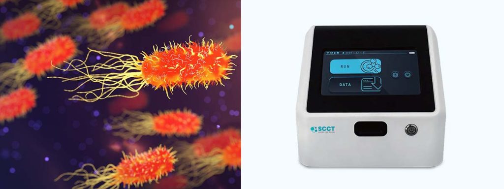 what-is-somatic-cell-in-milk