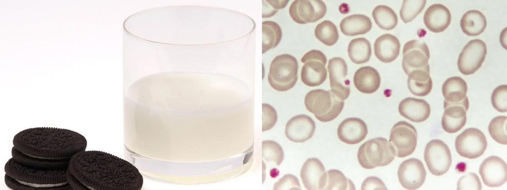 scc-test-for-milk​